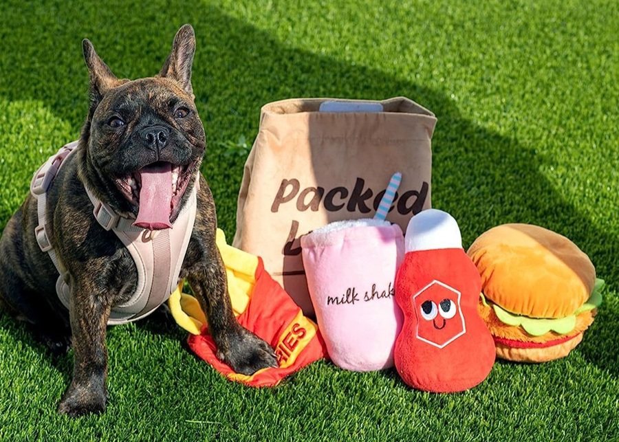 Complete Guide to Custom Pet Toy Design: From Market Research to Mass Production
