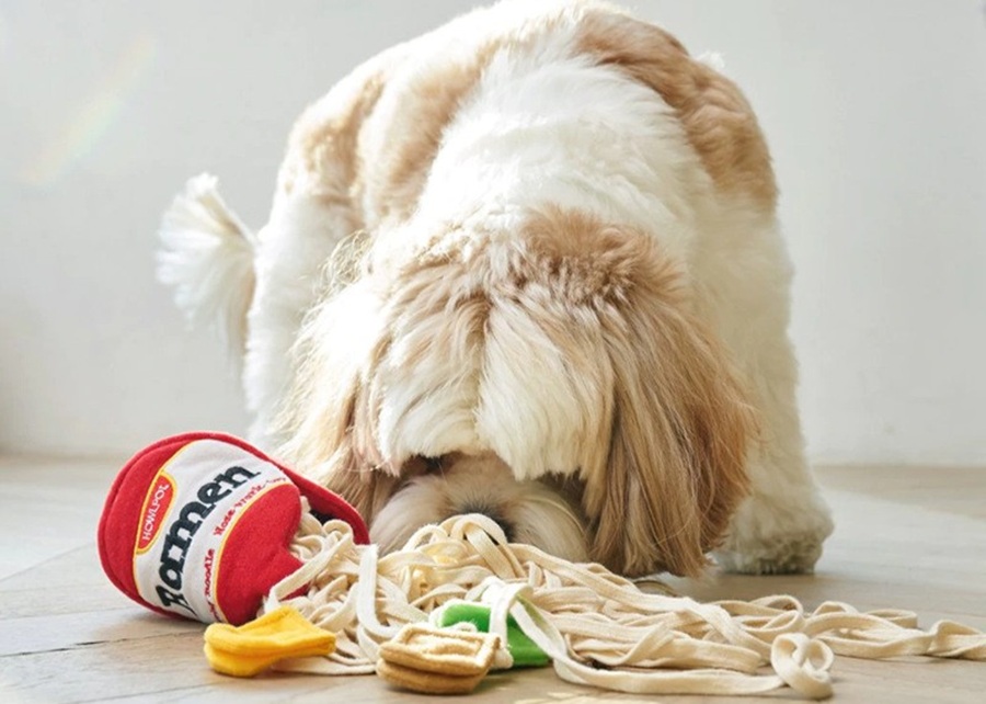 a person happily playing with their dog using a branded toy