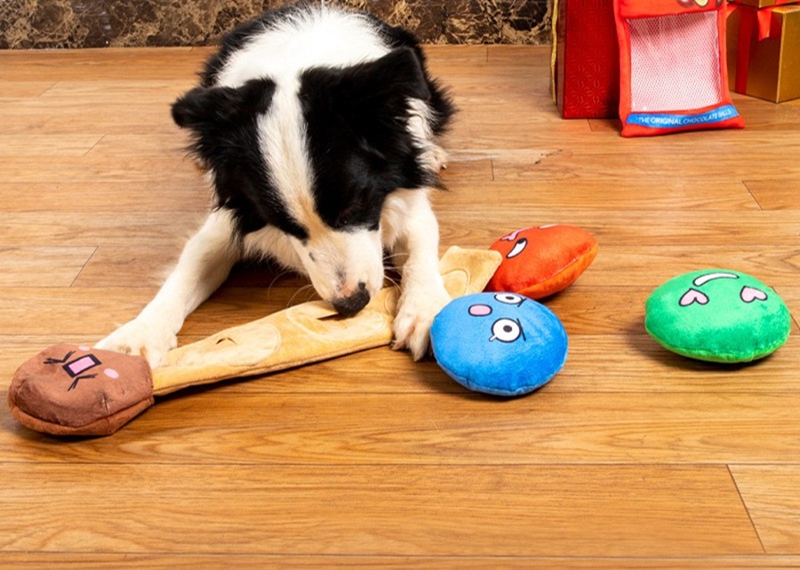 A dog trying to get a treat out of a puzzle toy.