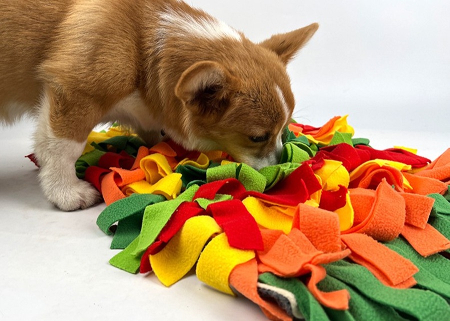 A dog using a snuffle mat.