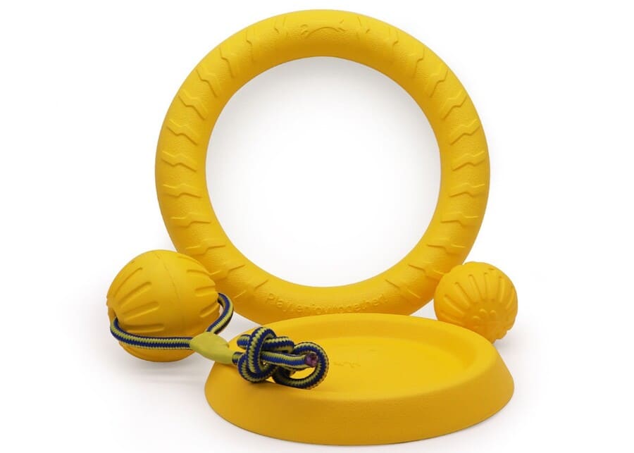 A variety of dog training toys laid out, including a frisbee, a puzzle toy, and a tug rope.