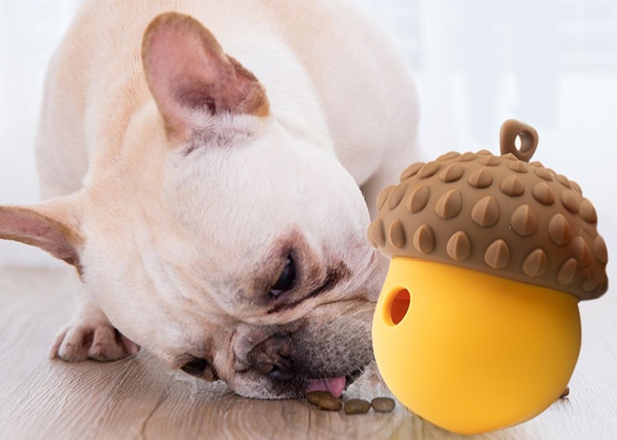 A puppy playing with a treat-dispensing puzzle toy