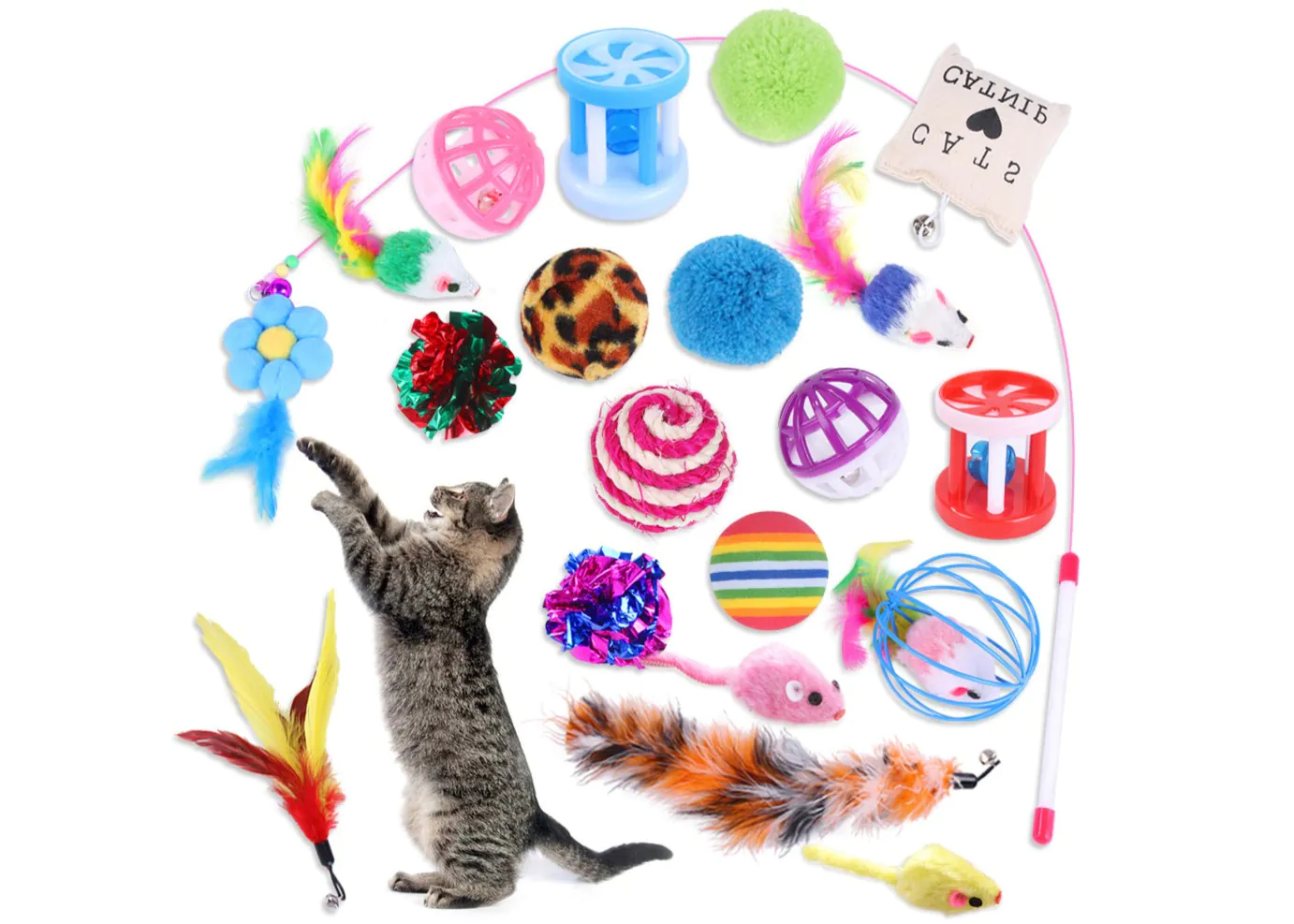 Cat playing with toys