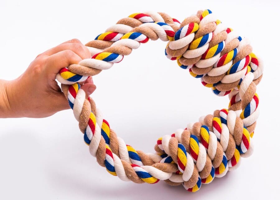 A person holding a durable tug toy, ready to play with their dog.