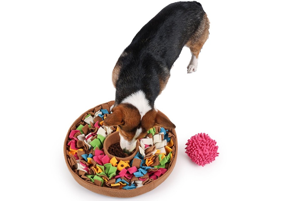 A blind dog with its nose deep in a snuffle mat, searching for treats.