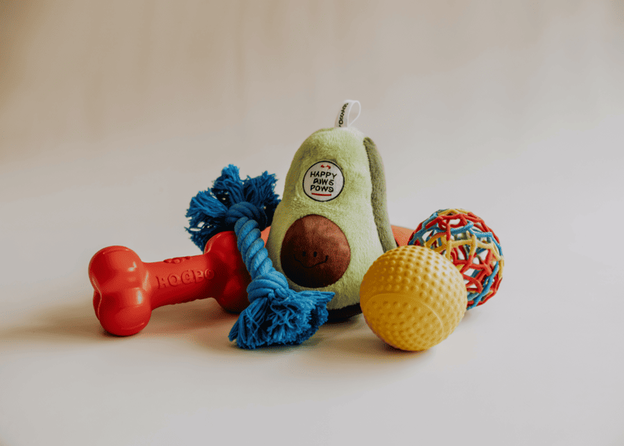 A collection of the five most popular dog toy types arranged on a clean background.