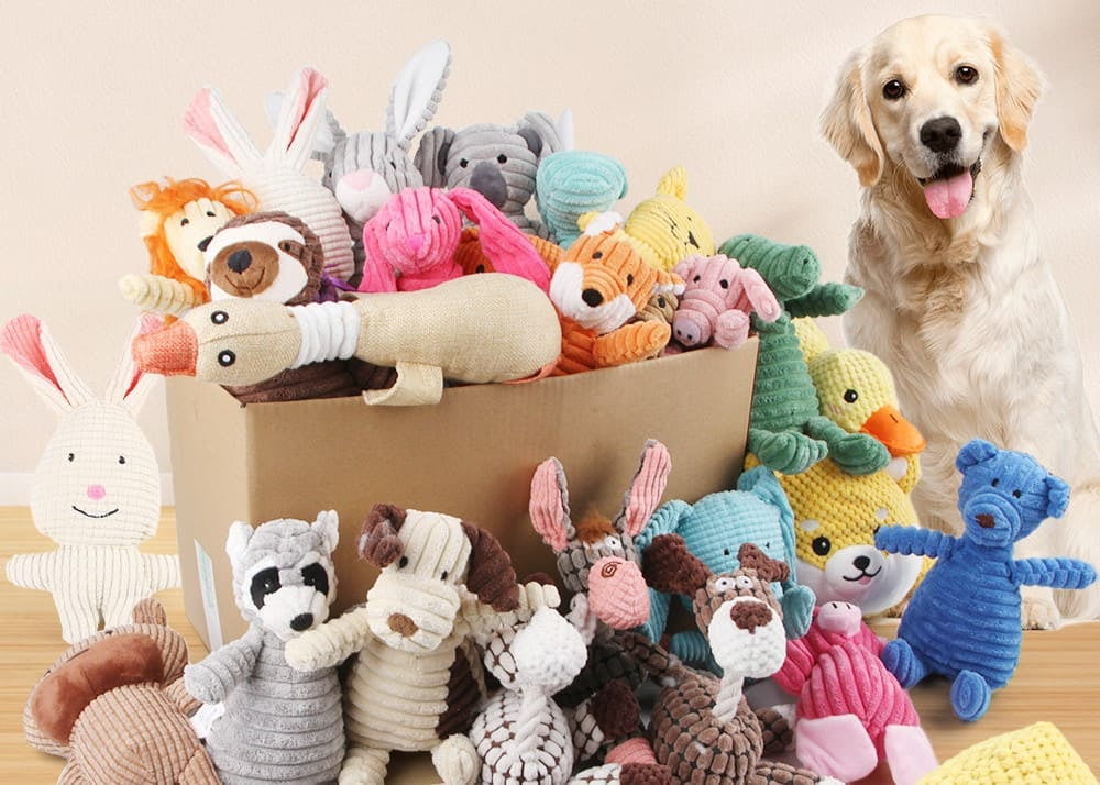 A colorful assortment of wholesale dog toys ready for retail.