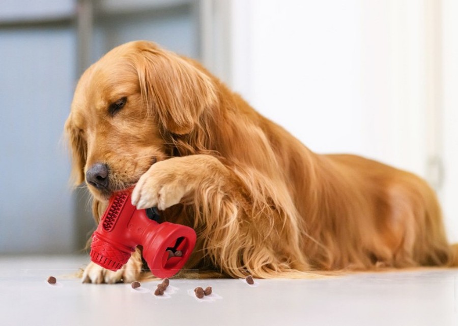 A comparison of different sized dog toys next to a large dog