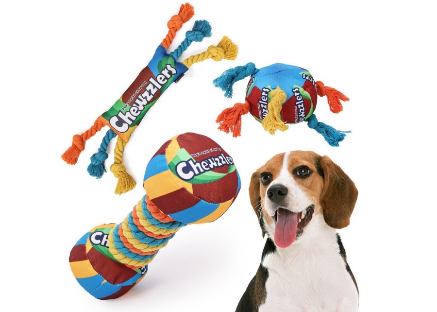 A selection of different squeaky toys showing various sizes, materials, and shapes suitable for training.