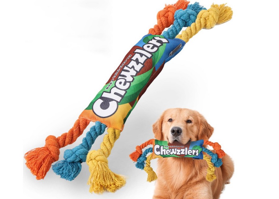 An infographic showing a dog's brain with the auditory center highlighted, reacting to a squeaky toy soundwave.
