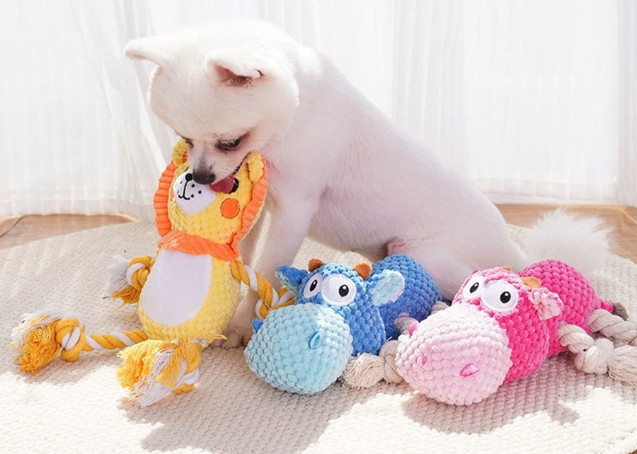 A grid showcasing the top 5 dog toy categories: puzzle, eco-chew, plush, tech, and custom