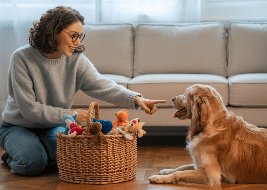 A person pointing to a toy basket and giving a verbal command to their dog.
