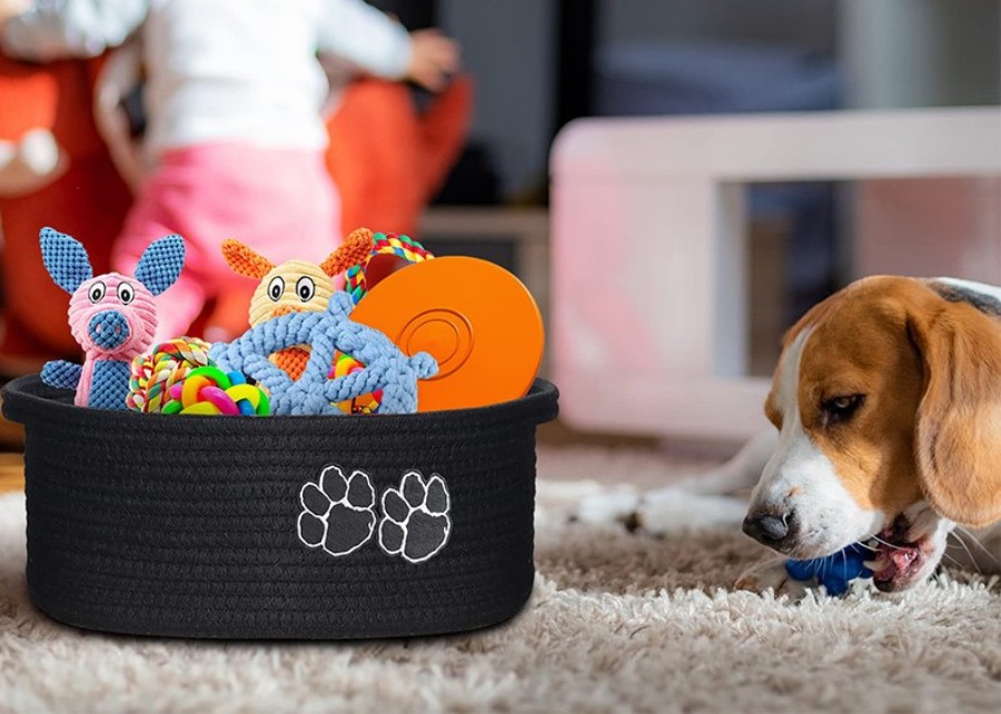 How To Teach A Dog To Put Toys In A Basket?