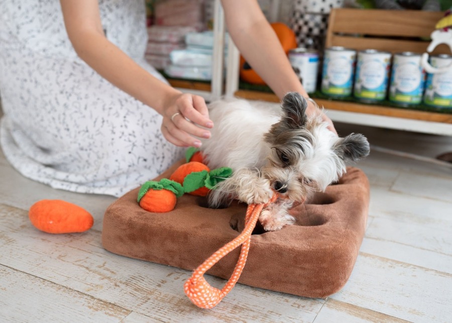 A dog pulling a small plush toy out of a larger plush base.