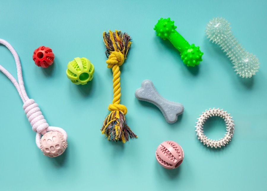 A collection of colorful small dog toys
