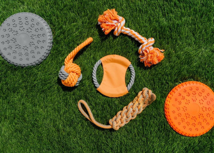 An assortment of different types of dog chase toys like balls, ropes, and plushies