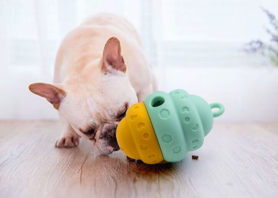 Anxiety Toys for Dogs: A Manufacturer's Guide to Your Top Questions