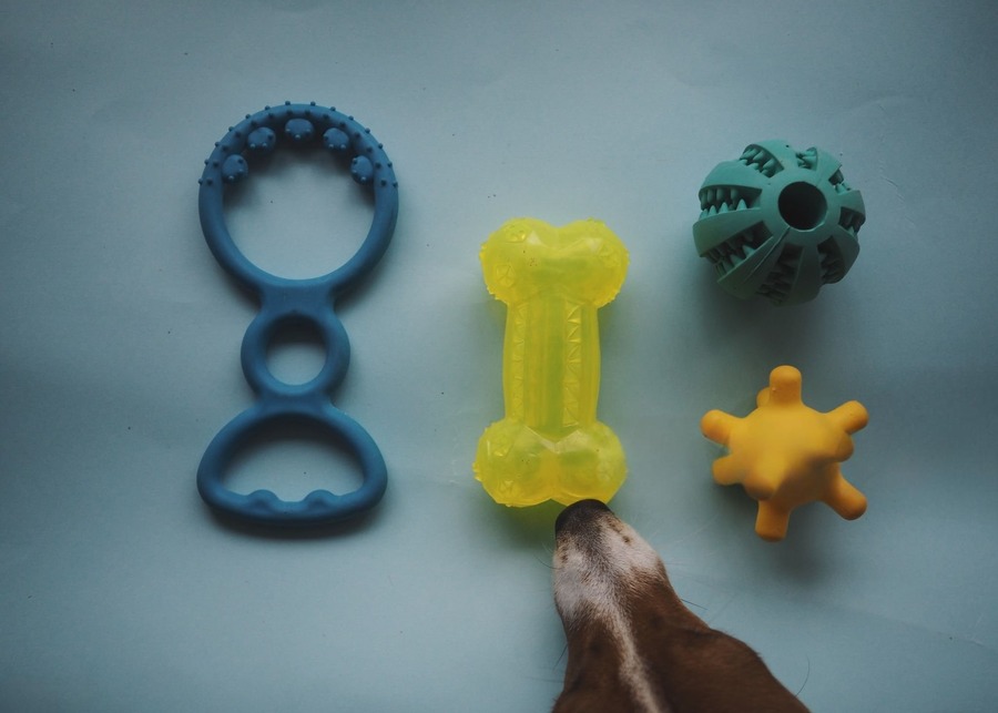 A brightly colored dog toy in blue and yellow stands out on a retail shelf