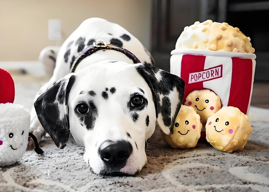 How to Launch a Profitable Hide and Seek Dog Toy Line: A Manufacturer’s Guide?