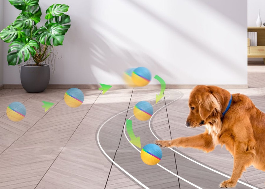 a happy dog playing with a moving toy while its owner works on a laptop