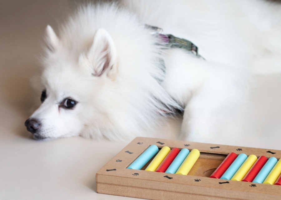 An infographic explaining how licking and sniffing calms dogs.