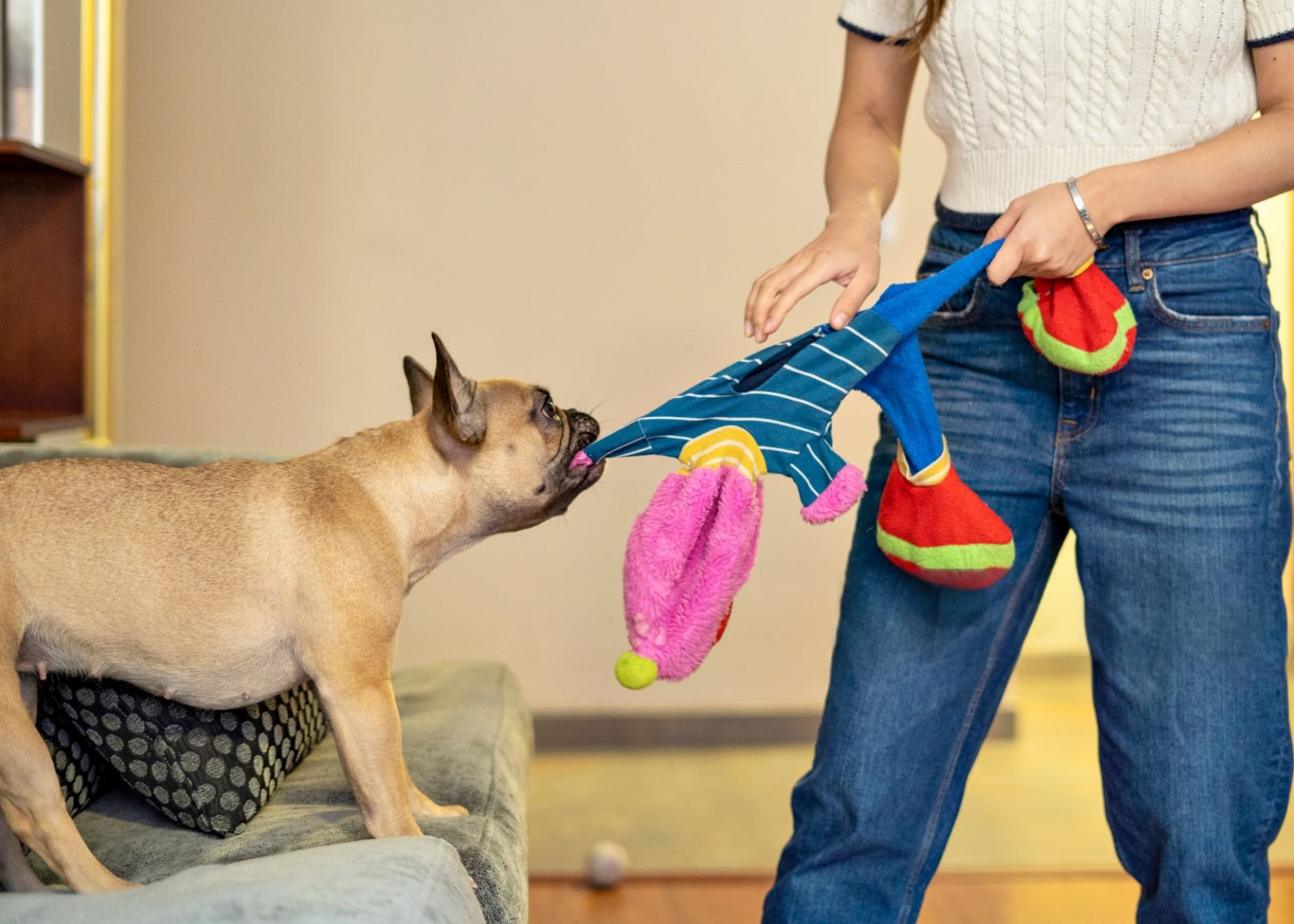A unique, custom-designed tug toy next to a generic one.