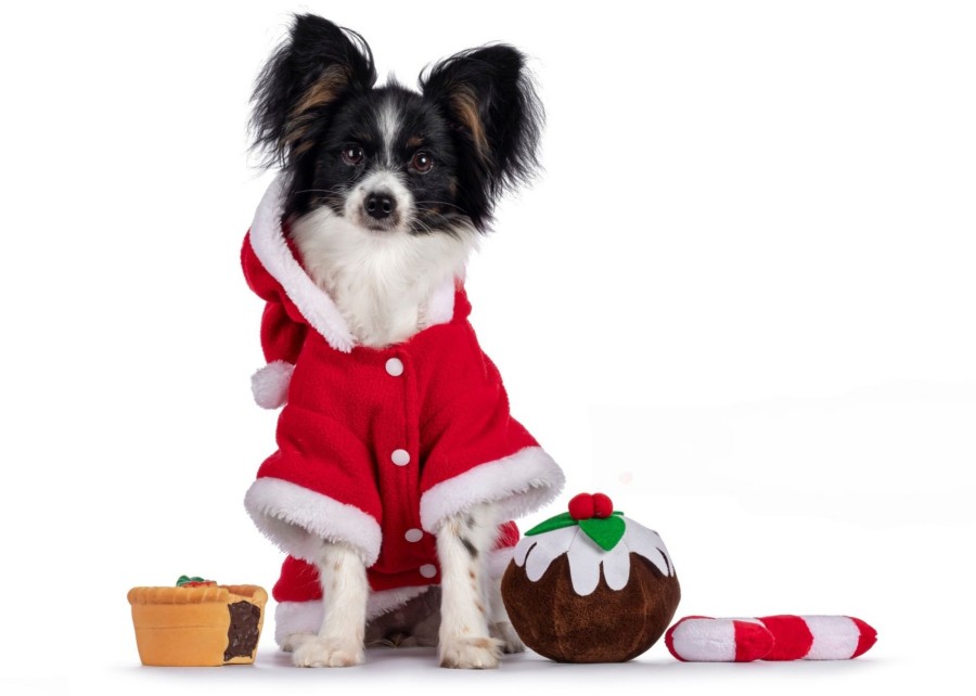 A mood board of trendy Christmas dog toys for 2025.