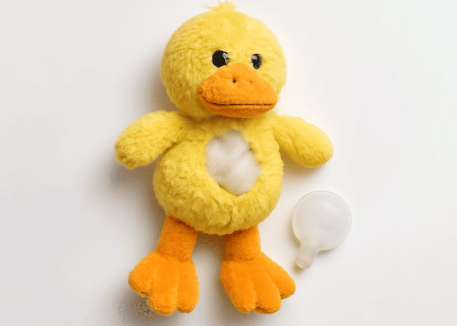 A broken squeaky toy with the squeaker exposed