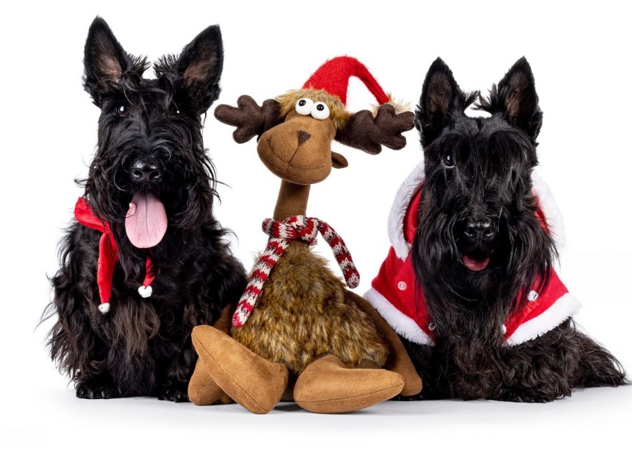 How Do I Source and Launch a Profitable Christmas Dog Toy Collection?