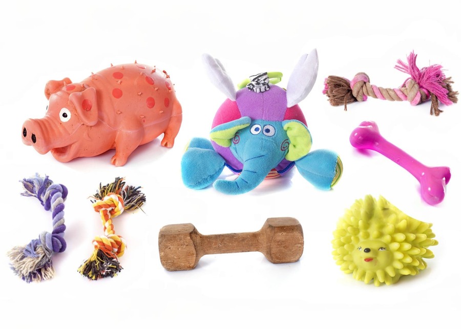 A product matrix showing different anxiety toy types for different dogs.