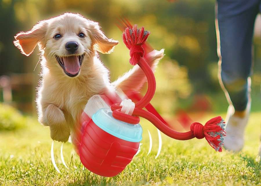 Toys for Dogs That Move: Answering the Key Questions for B2B Buyers?