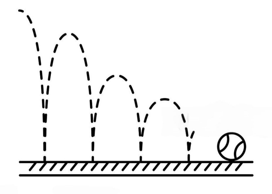 A chart showing the ideal bounce height for a dog tennis ball.