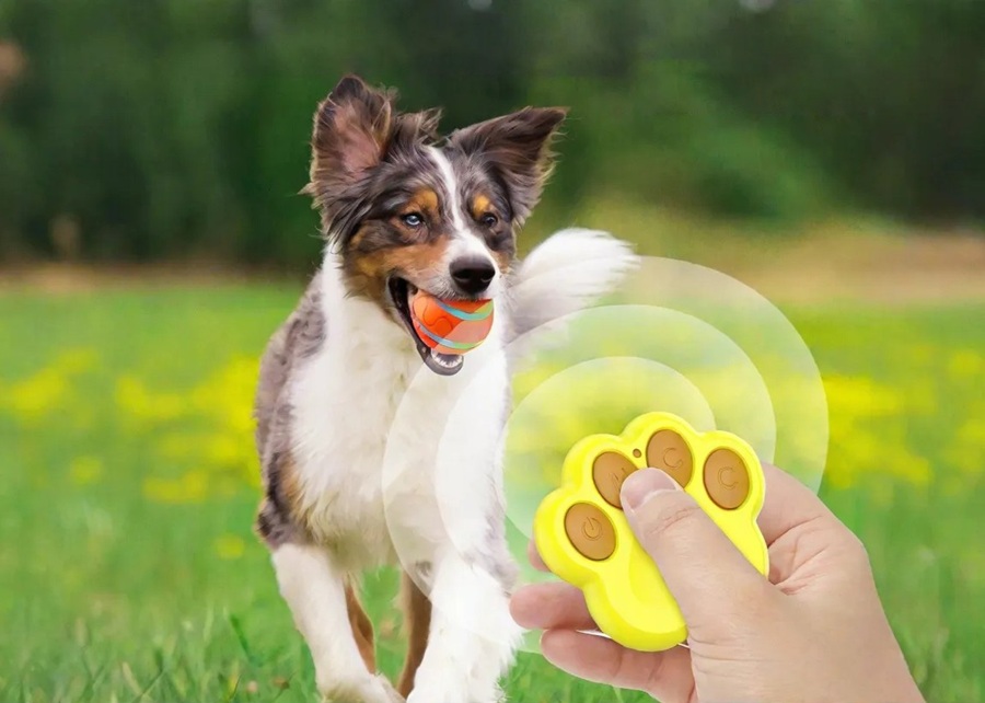 A futuristic-looking smart dog toy that moves on its own