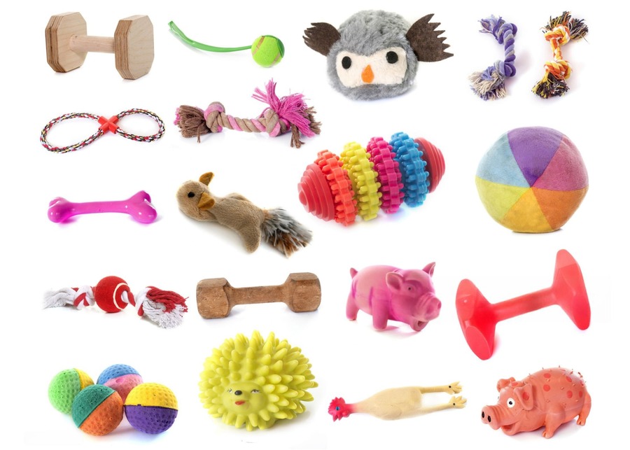 A diverse assortment of different types of small dog toys.