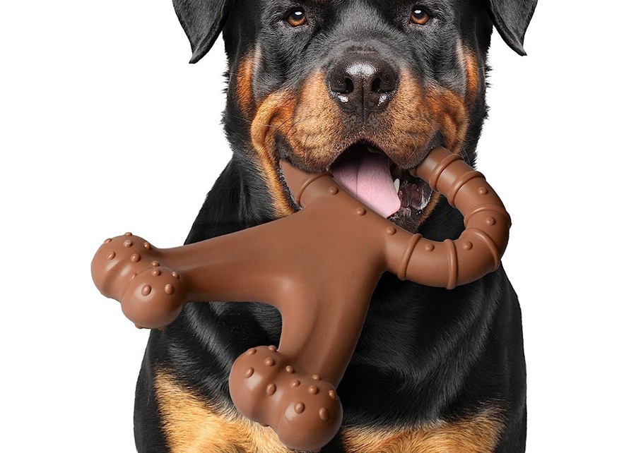 Samples of raw materials used for dog toys: rubber, nylon, TPR