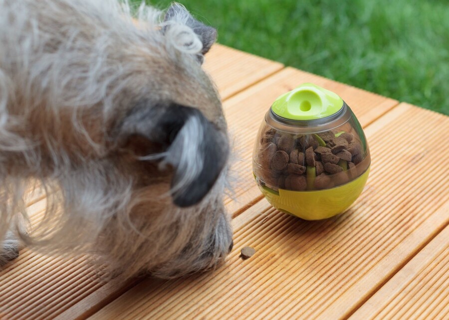 an infographic explaining the engineering and animal behavior principles of a dog treat toy