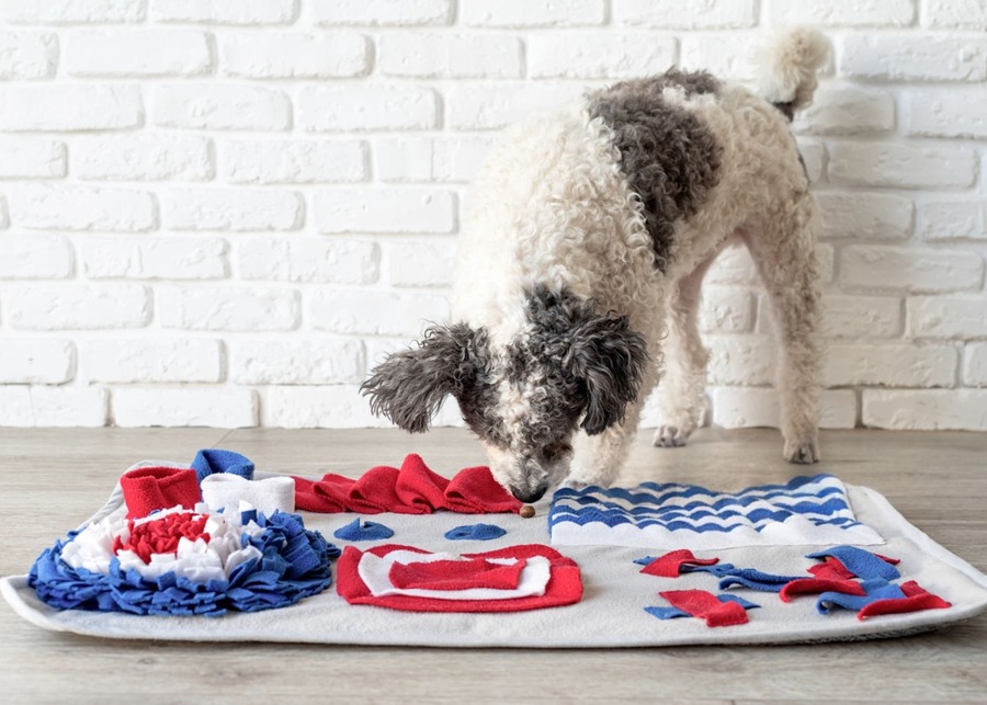 A diagram showing different types of digging dog toys like snuffle mats and burrow toys.