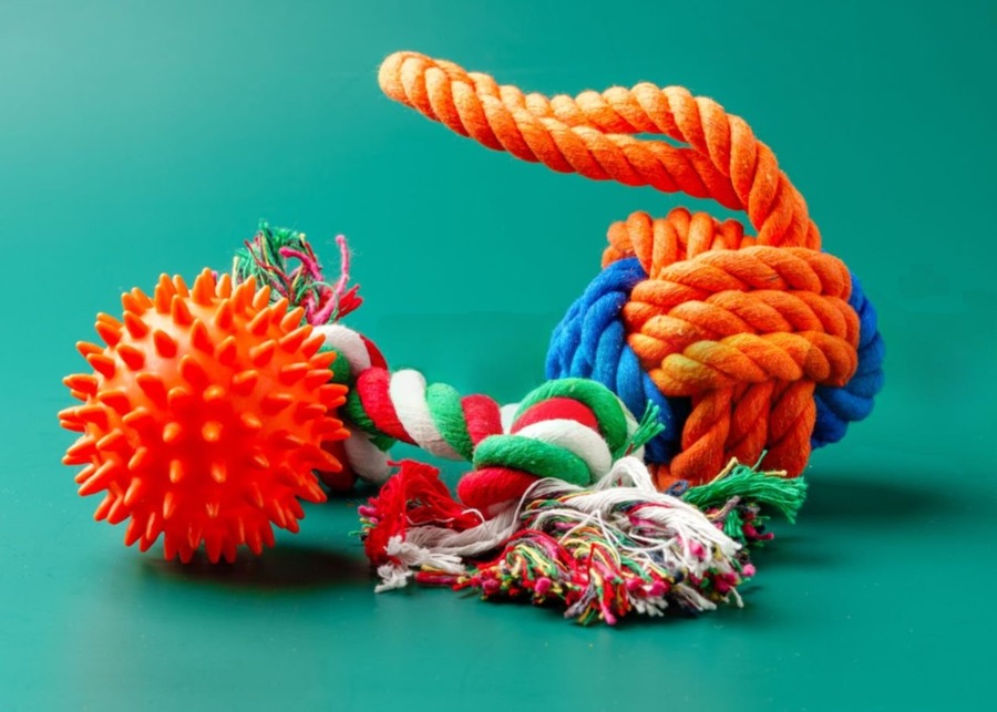 a pile of red, orange, and green dog toys