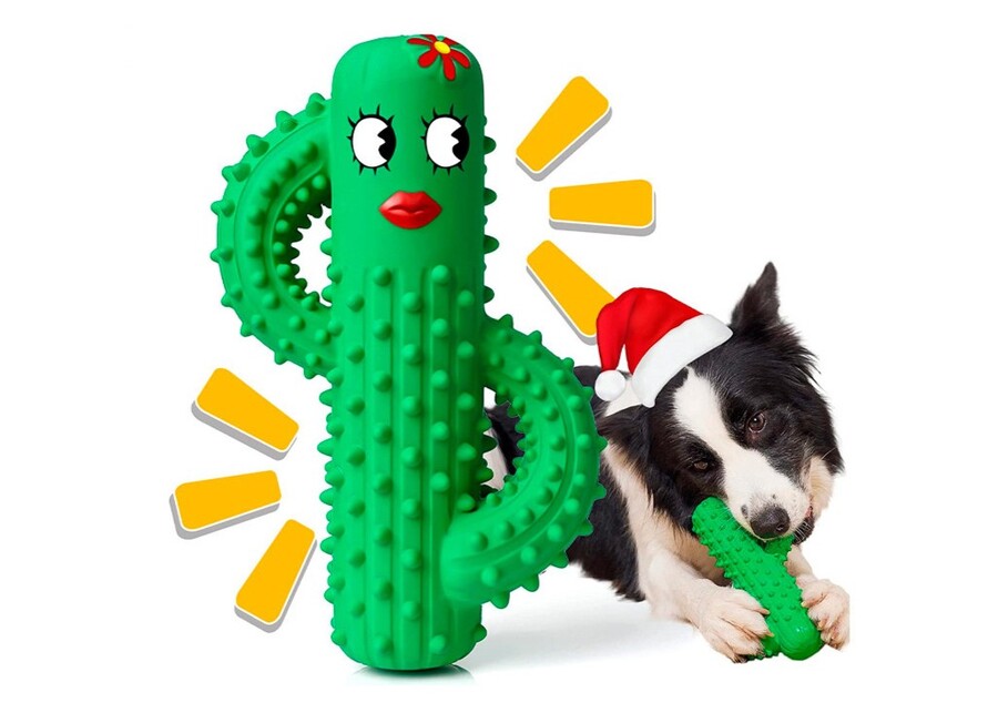 Dog chewing a durable rubber cactus toy, a wholesale pet product for dental health.