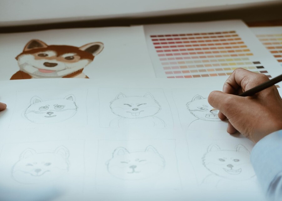 A person sketching a new dog toy design