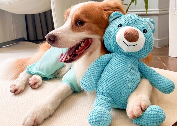 Comfort Companion Dog Toys Plush