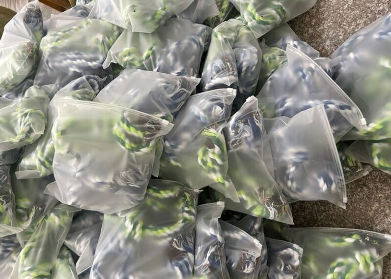 Dog Rope Toy Quality check and delivery process