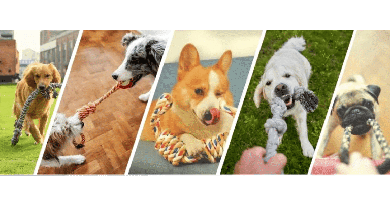 What are dog rope toys used for