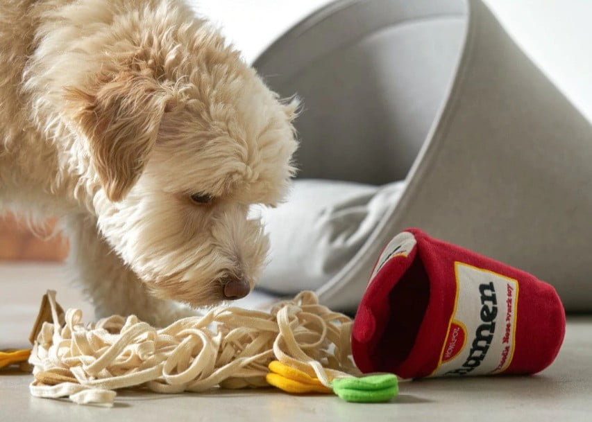 What Funny Dog Toy Ideas Can I Get Custom-Made for My Brand?