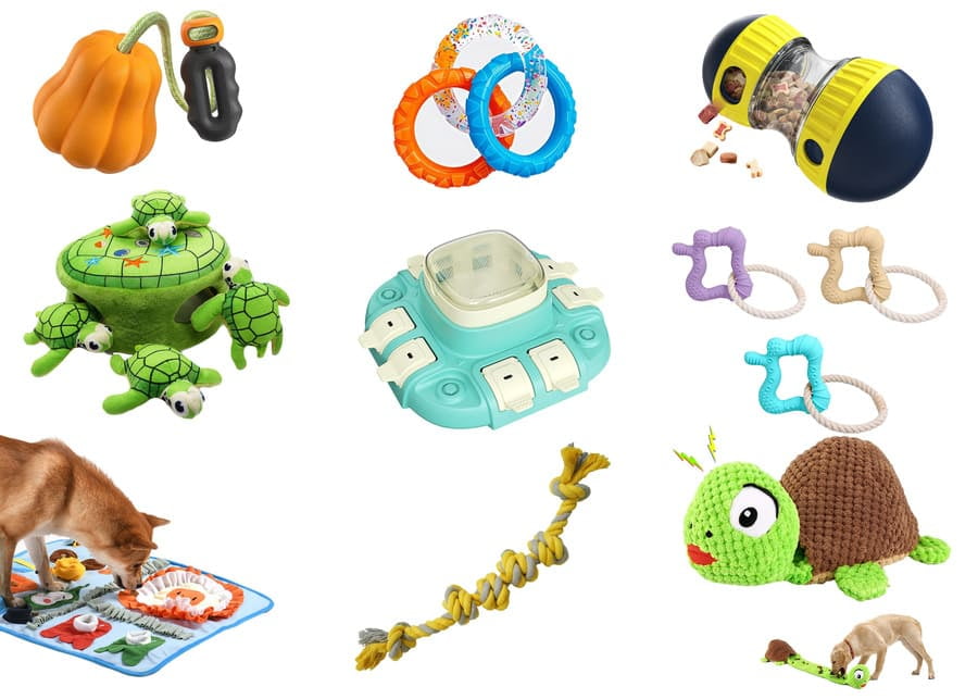 A collection of different types of interactive dog toys.