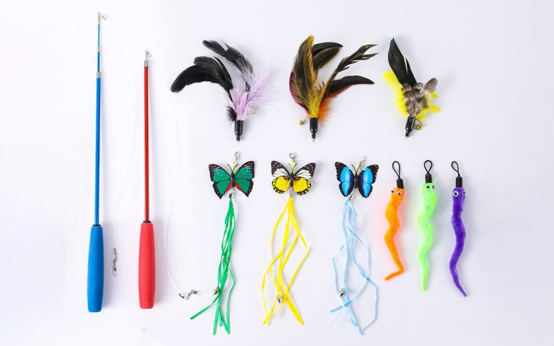 Owner bonding with pet