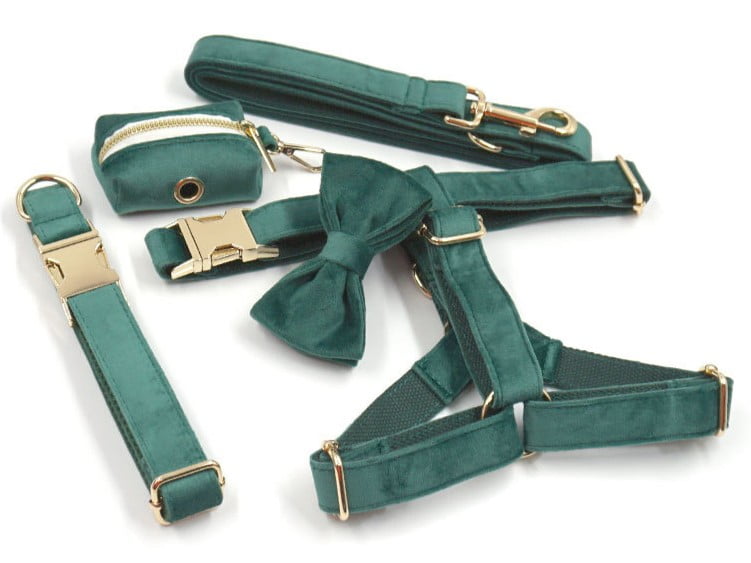 Close-up of high-quality hardware on luxury pet collar leash and harness sets