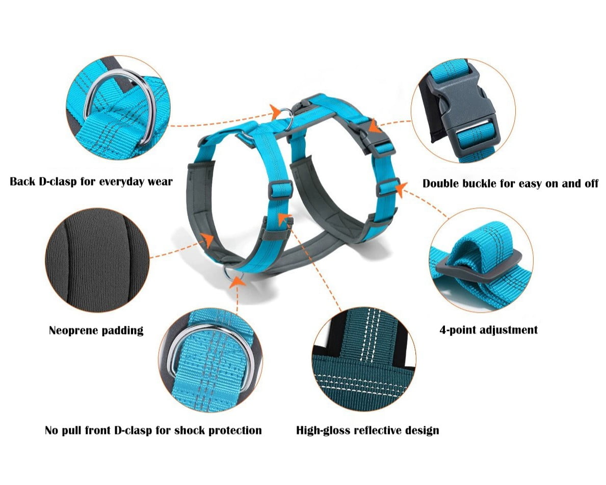 Diagram of dog harness structure