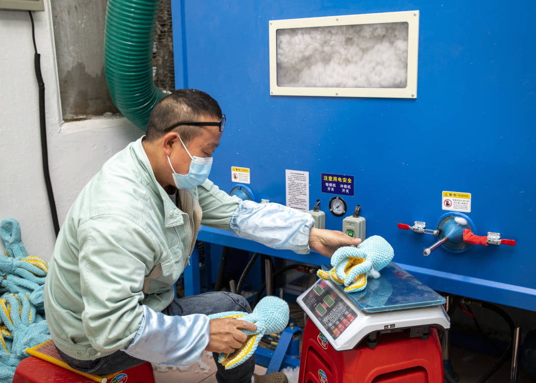 Advanced safety testing laboratory for pet toy compliance