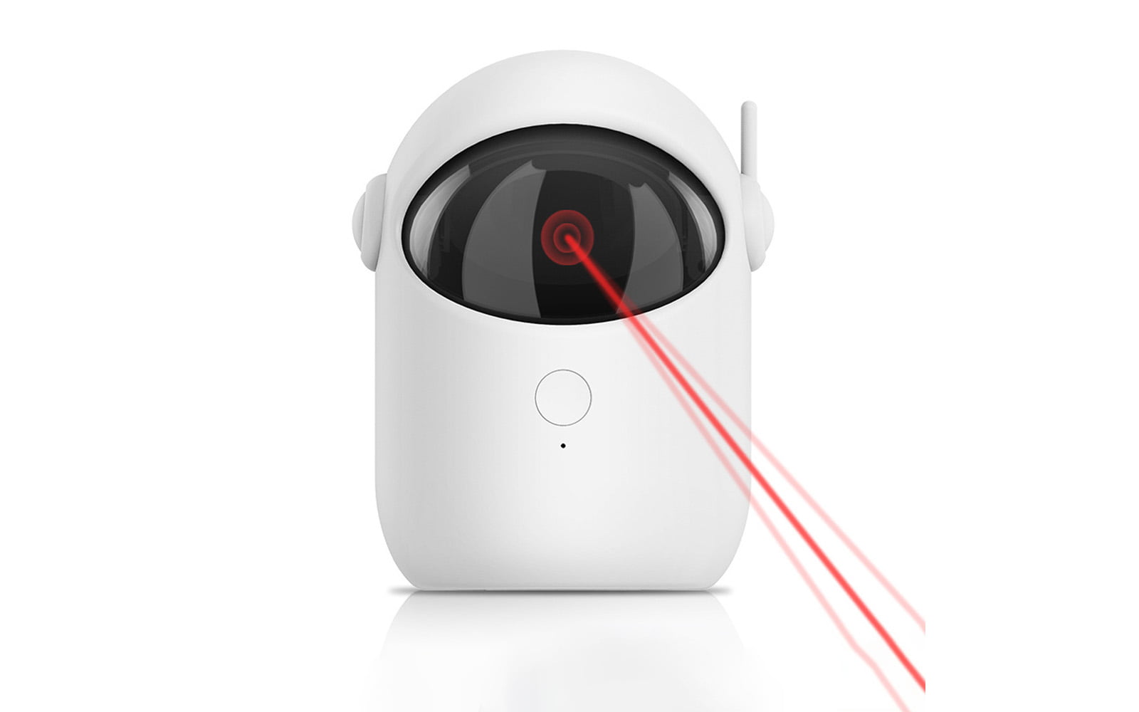 Pet playing independently